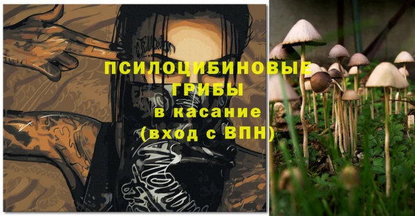 каннабис Алзамай