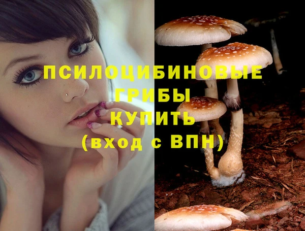 каннабис Алзамай