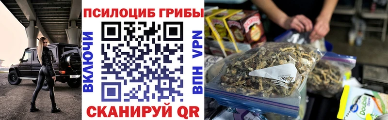 Галлюциногенные грибы Psilocybine cubensis  как найти наркотики  Агрыз 